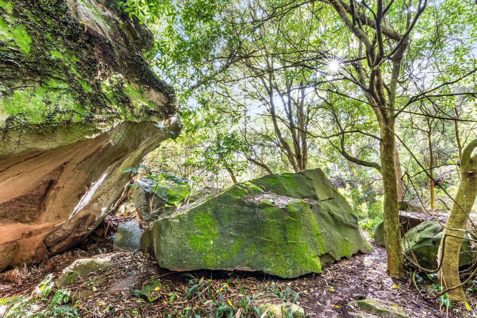 Image 23