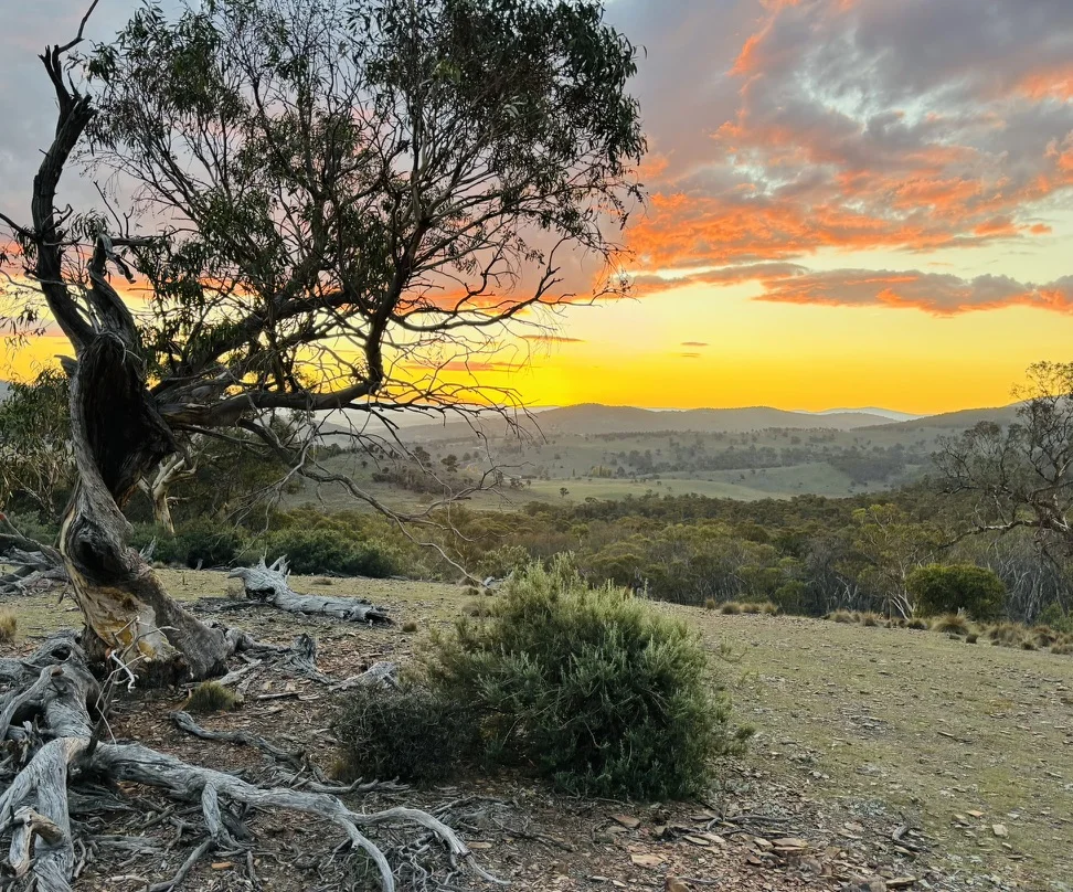 944 Jones Plains Road, Shannons Flat NSW 2630