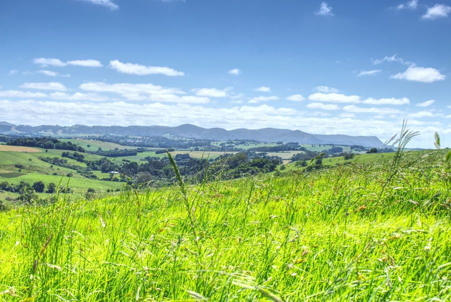 Dorrigo NSW 2453 Vacant Land for Sale Domain