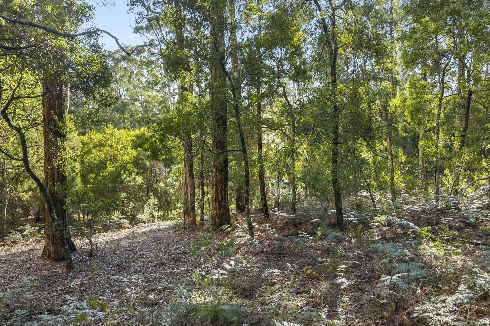 Image 6