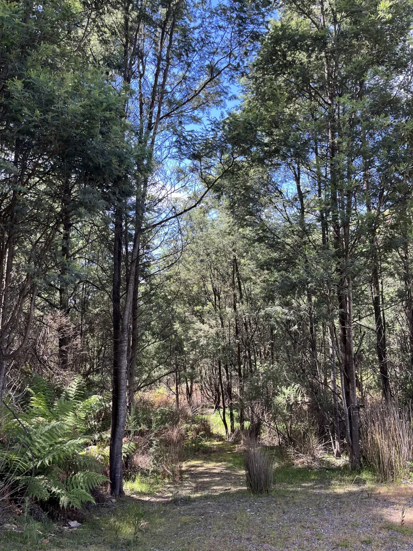 Additional image 15 of 166 Kerrisons Road, Holwell TAS 7275