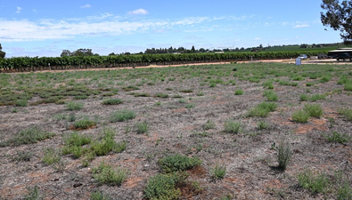 Picture of Lot 52 Blake Road, WAIKERIE SA 5330