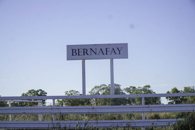 3 bedrooms Rural in 'Bernafay' 605 Pangee Road NYNGAN NSW, 2825