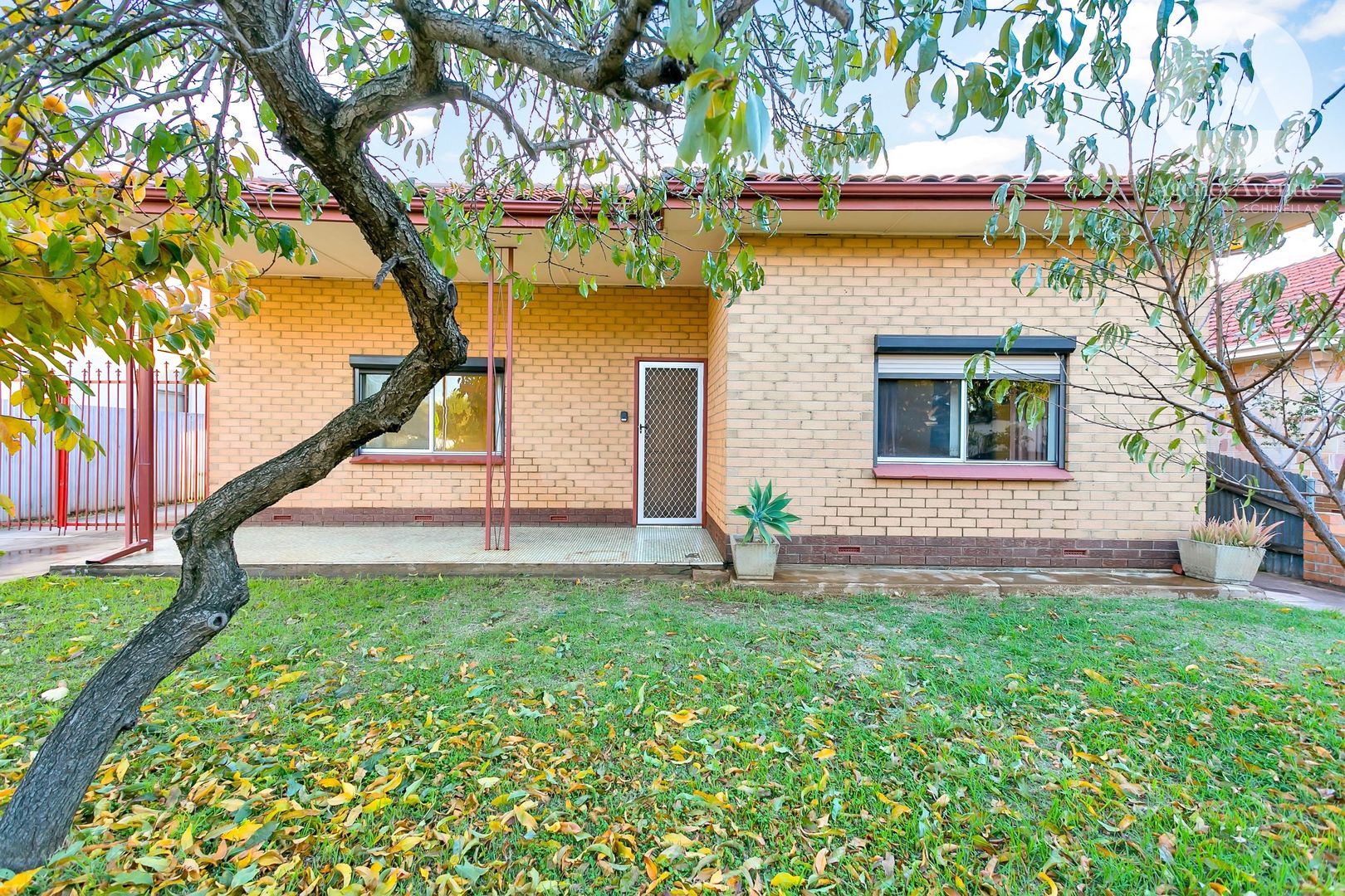 31 McDonnell Avenue, West Hindmarsh SA 5007, Image 2