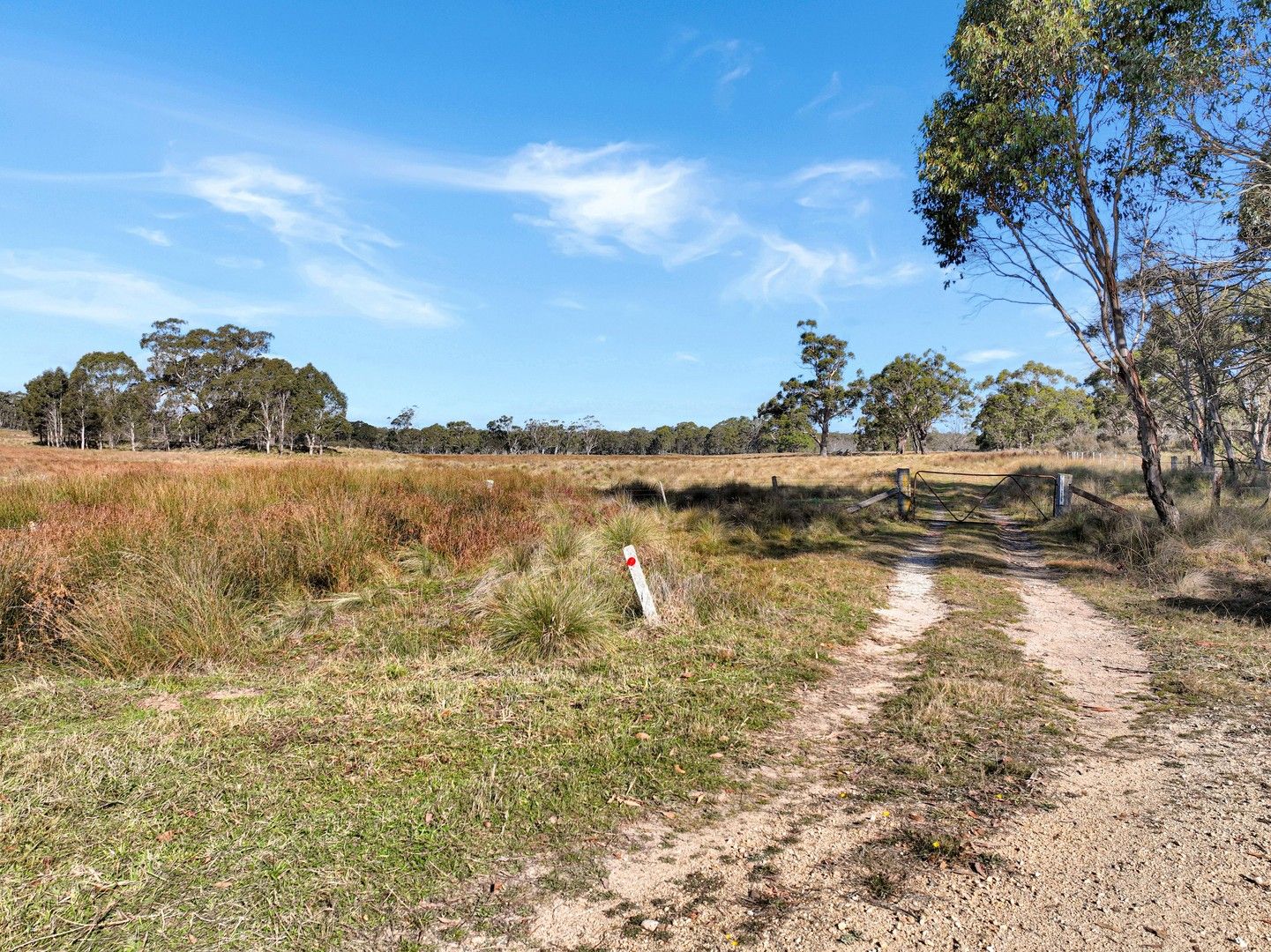 Lot 238 Rosehill Road, Bombala NSW 2632, Image 0