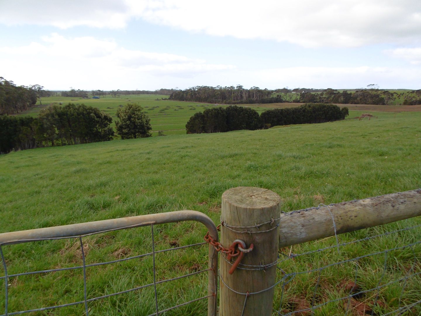 71 Brooks Road, Forest Property History & Address Research Domain