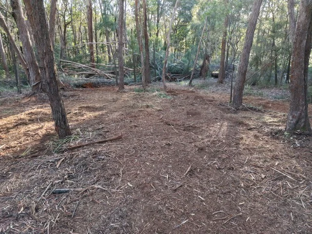 Image 4