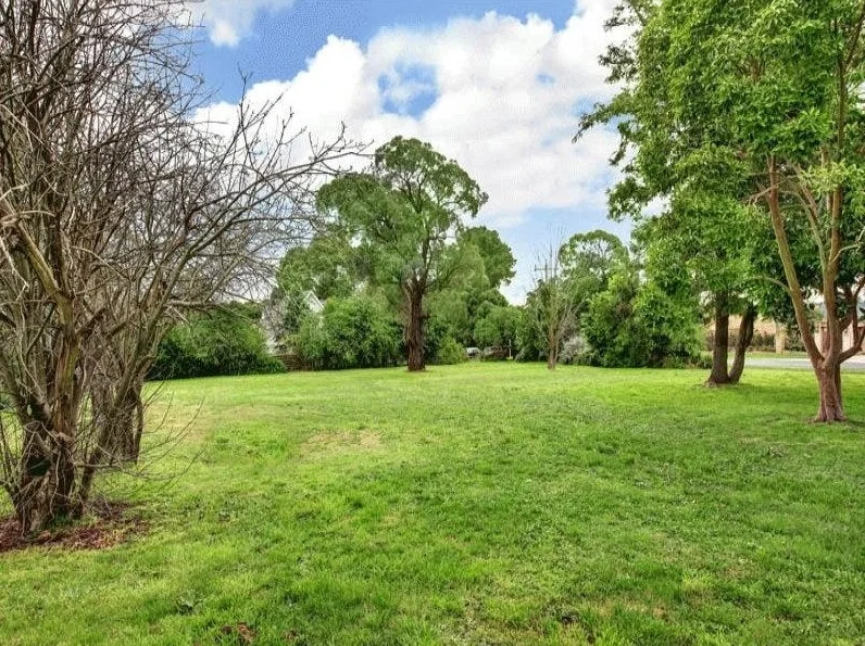 Image 13