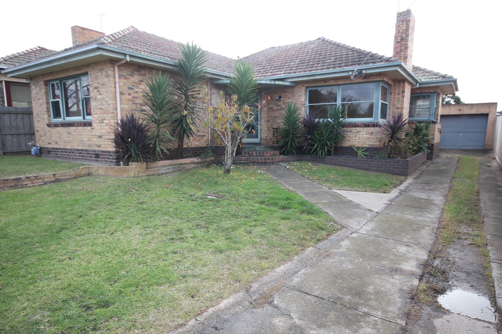 13 Dorothy Avenue, Belmont VIC 3216 House For Rent Domain