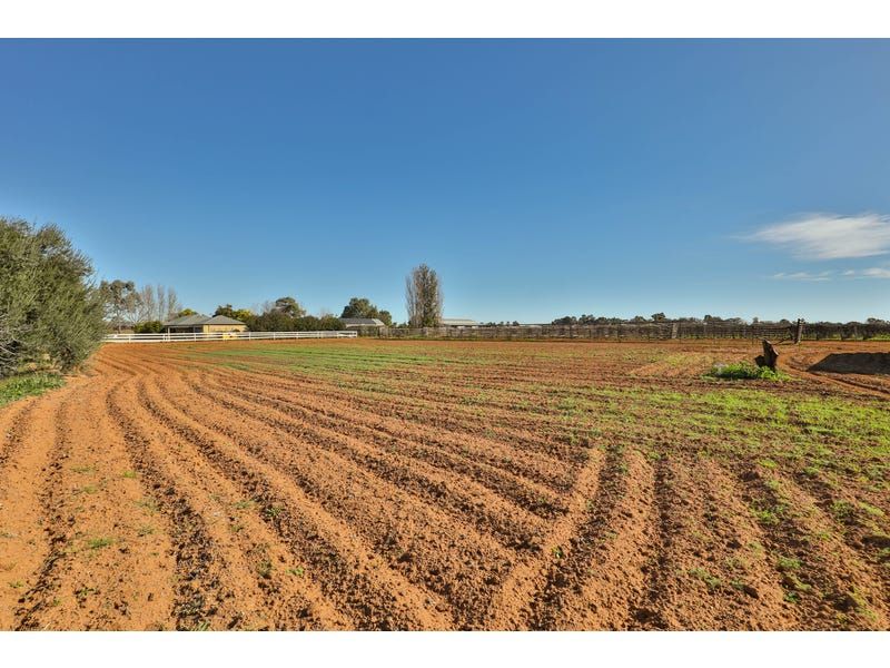 Lot 2, 1227 Karadoc Avenue, Irymple VIC 3498, Image 0