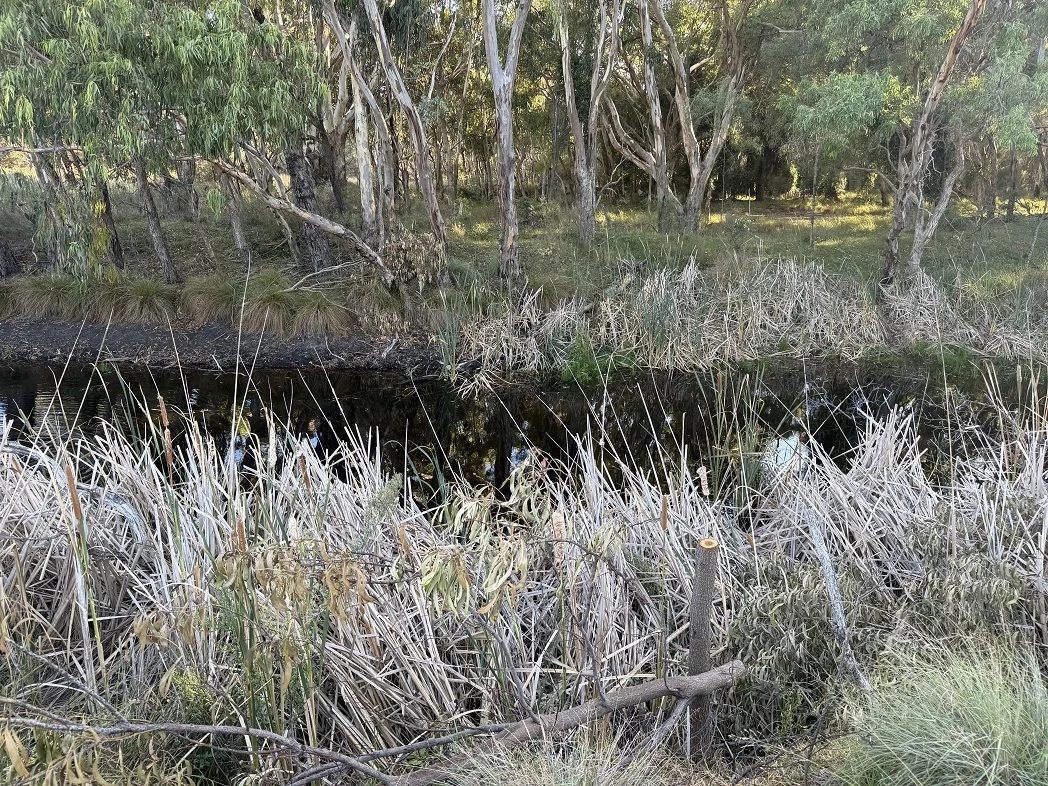 Image 8