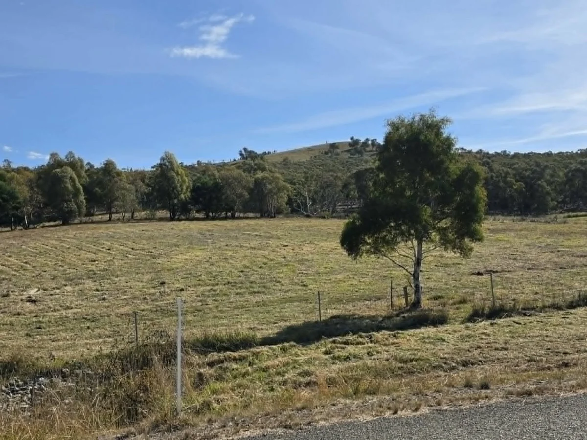 Image 15