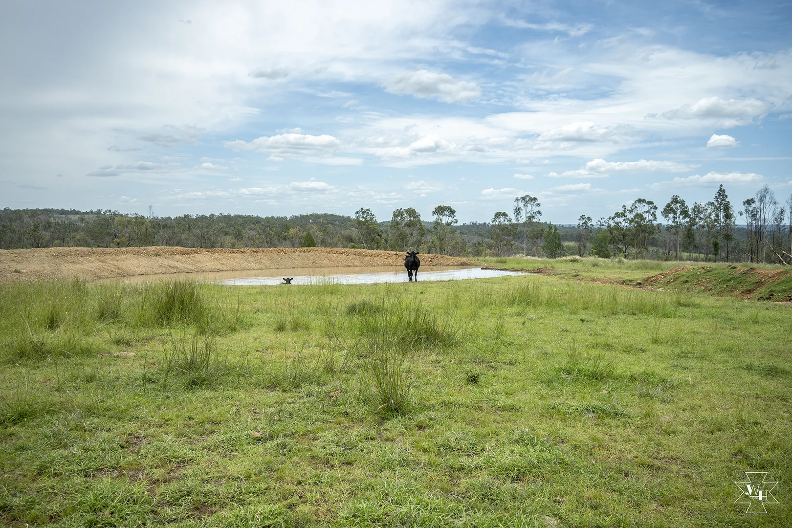 Image 13