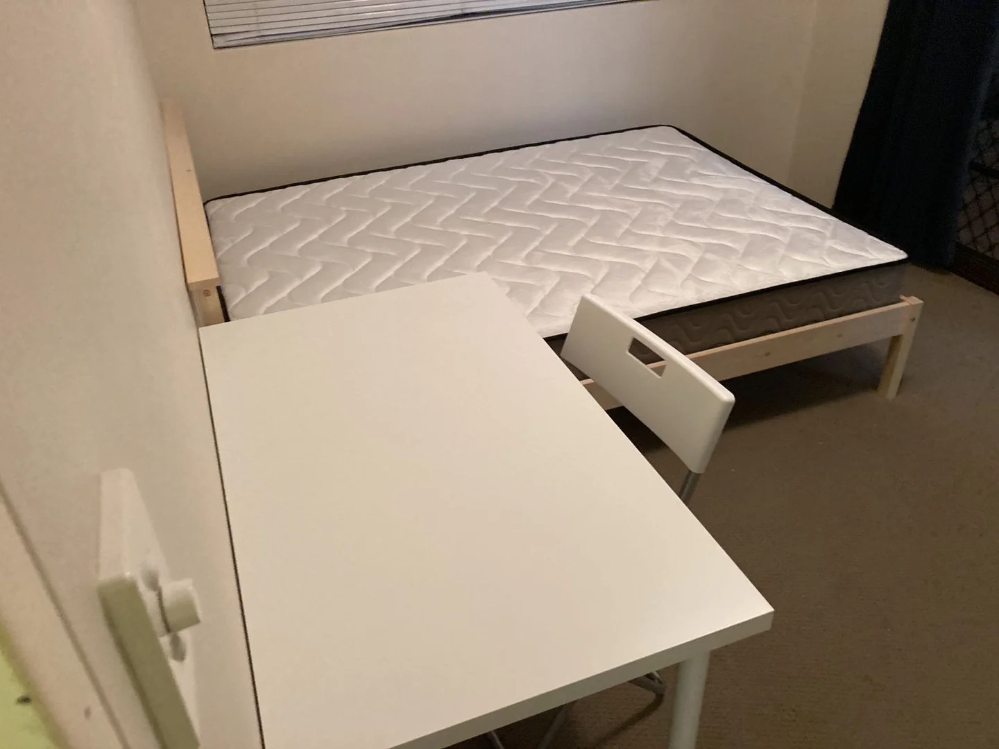 Additional image 9 of WeChat: KRL119 L2/ 16 Leichhardt Street, Glebe NSW 2037