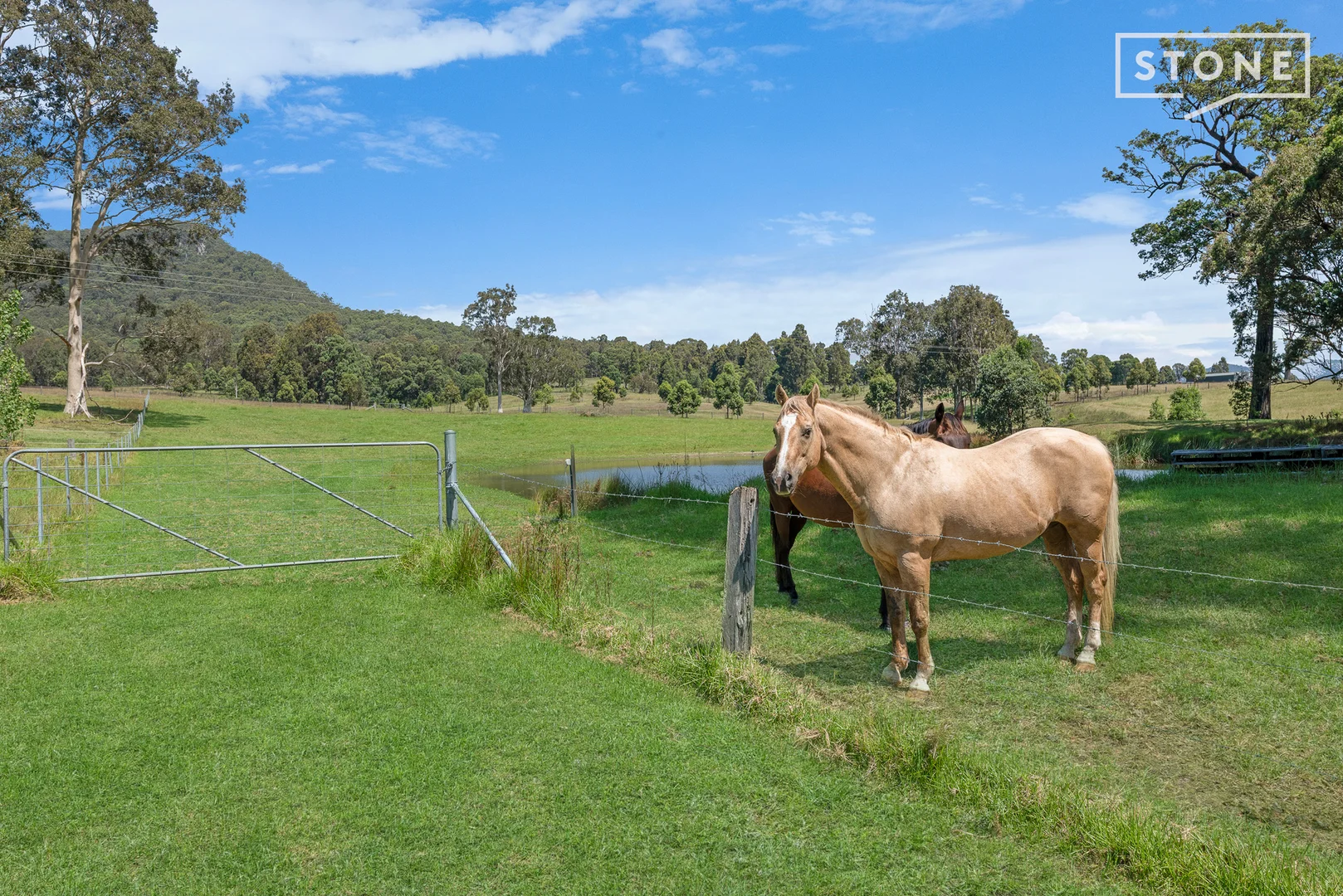 Additional image 25 of 280 Heaton Road, Quorrobolong NSW 2325