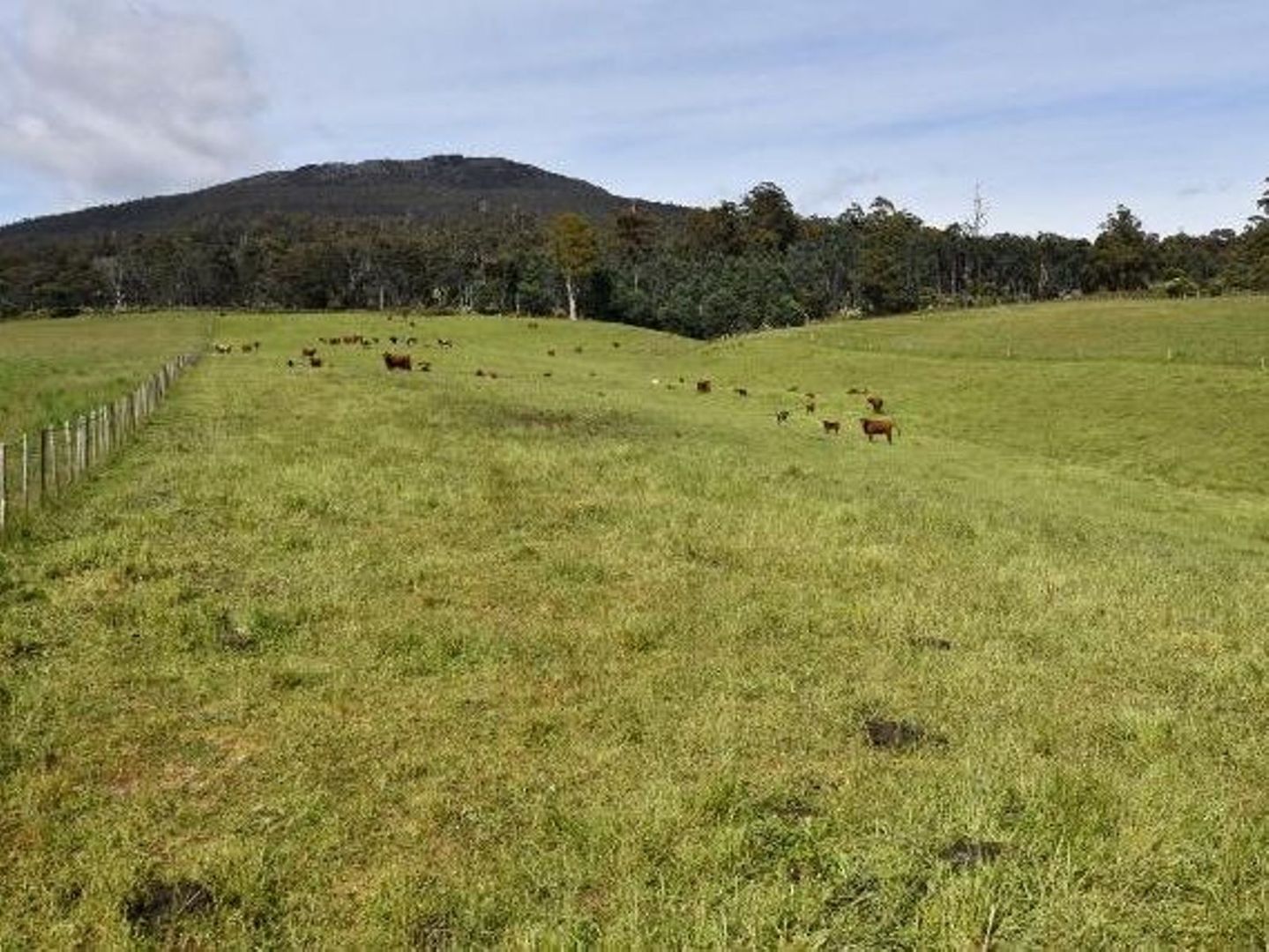 68 Mt Beulah Road, Western Creek TAS 7304, Image 1