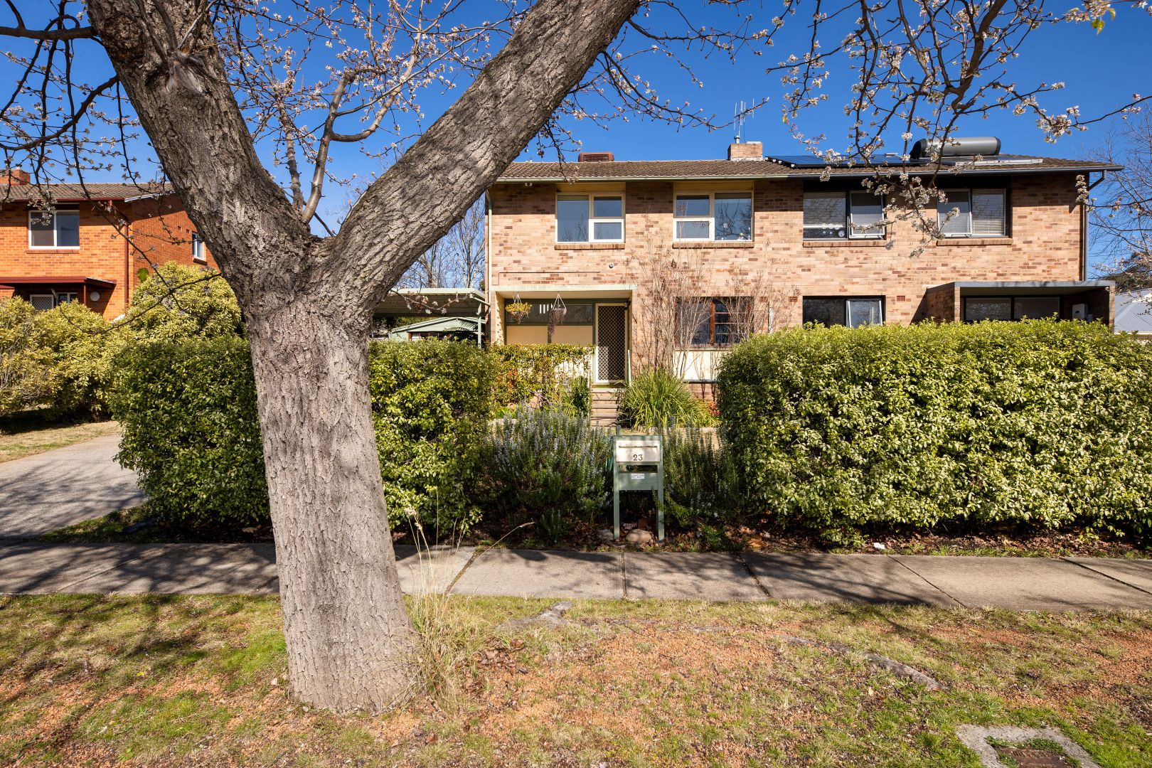 23 Carruthers Street, Curtin ACT 2605, Image 1