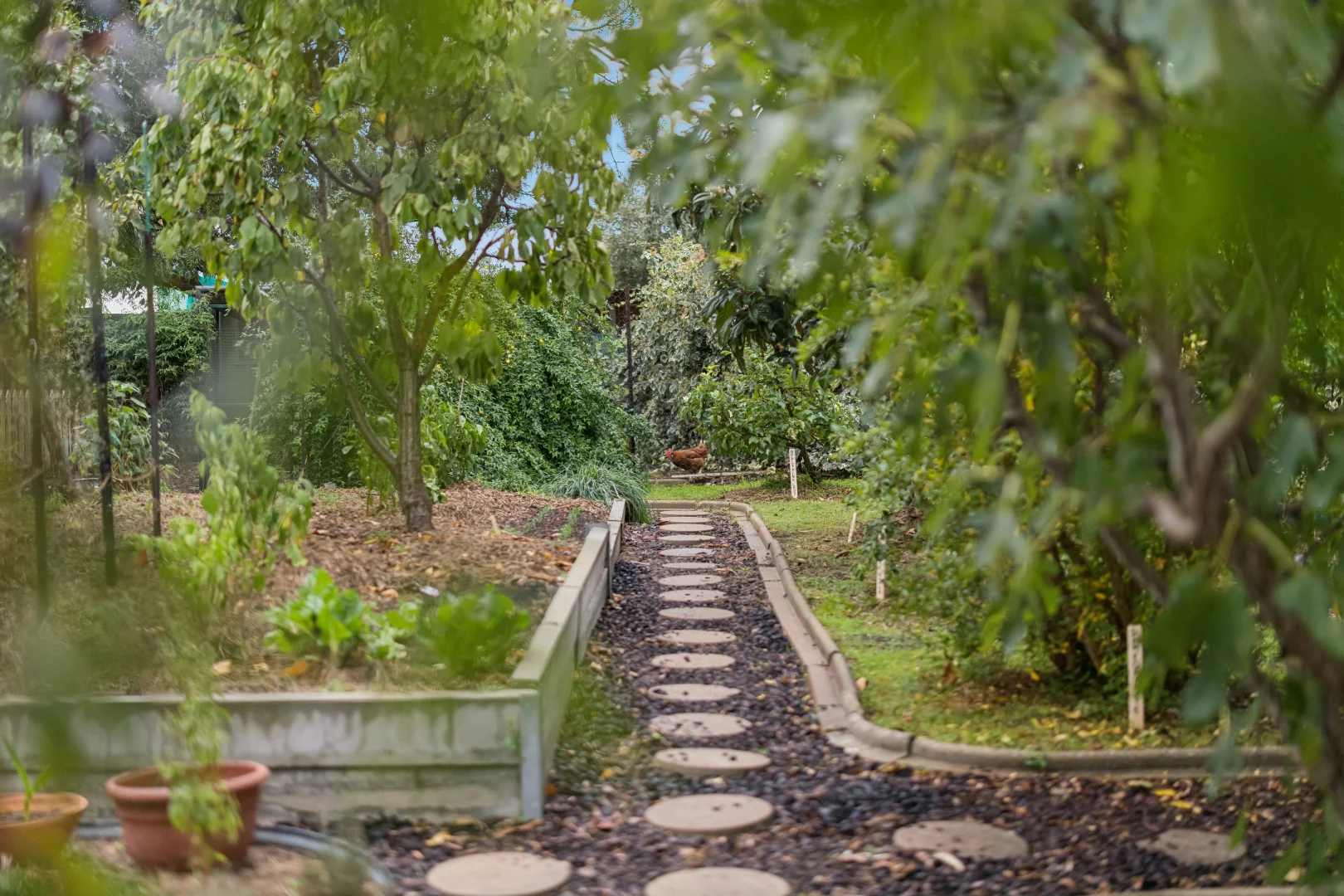 Image 18
