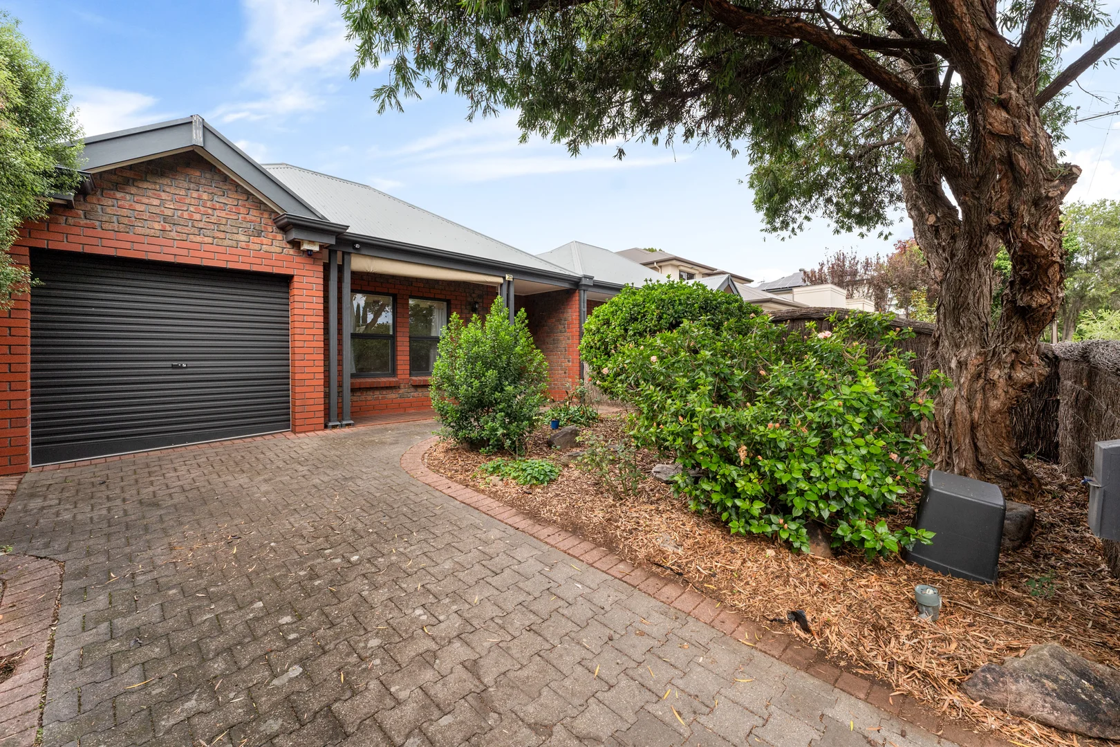 Additional image 17 of 6 North Street, Frewville SA 5063