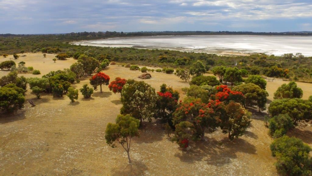 95 Keenan Road, Pink Lake WA 6450 House for Sale 1,250,000