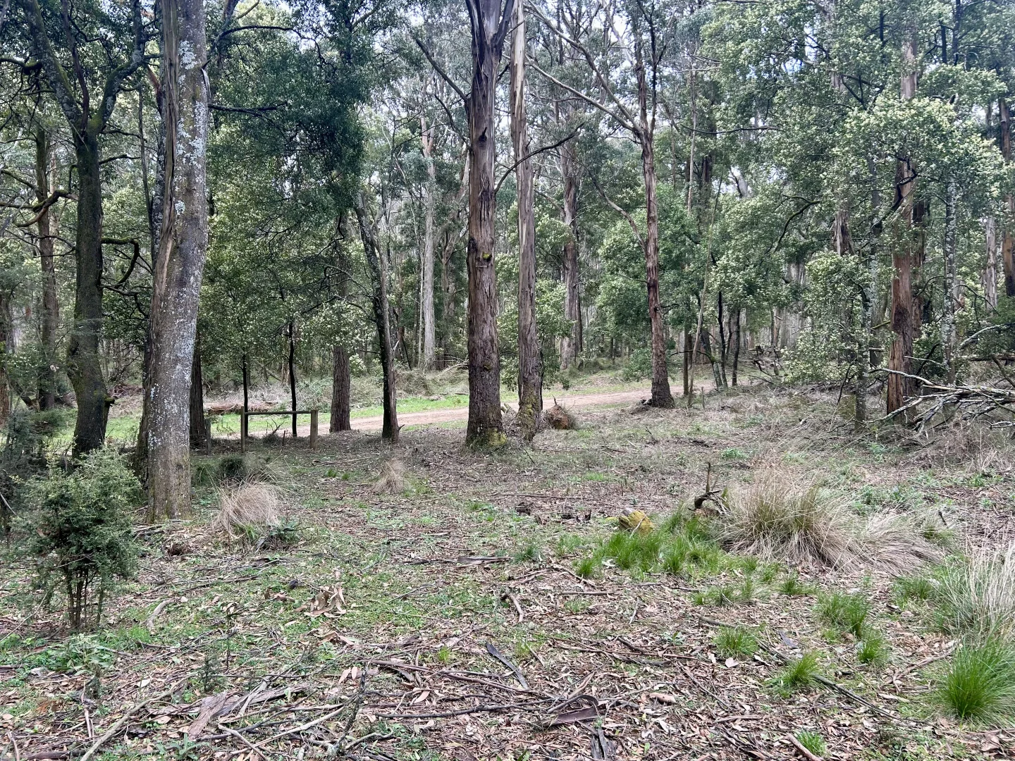 Image 8