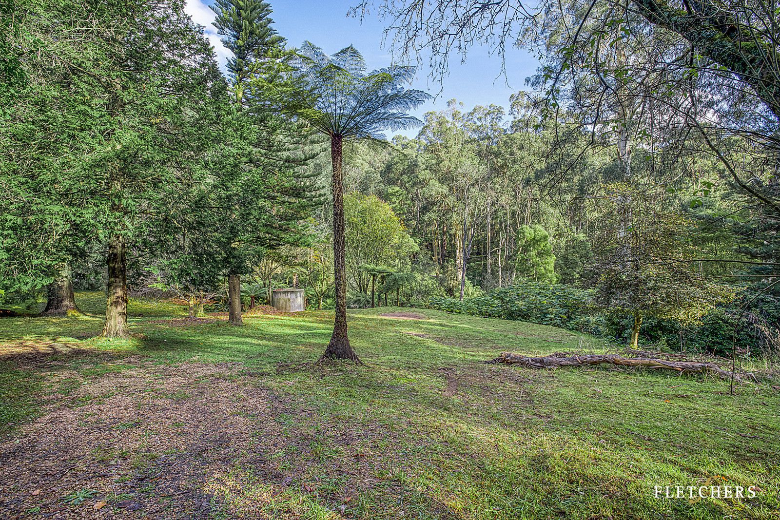 1589 Mountain Highway, Sassafras VIC 3787, Image 2