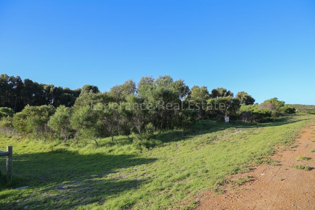 Lot 46 Tuart Forest Grove, Pink Lake WA 6450, Image 0