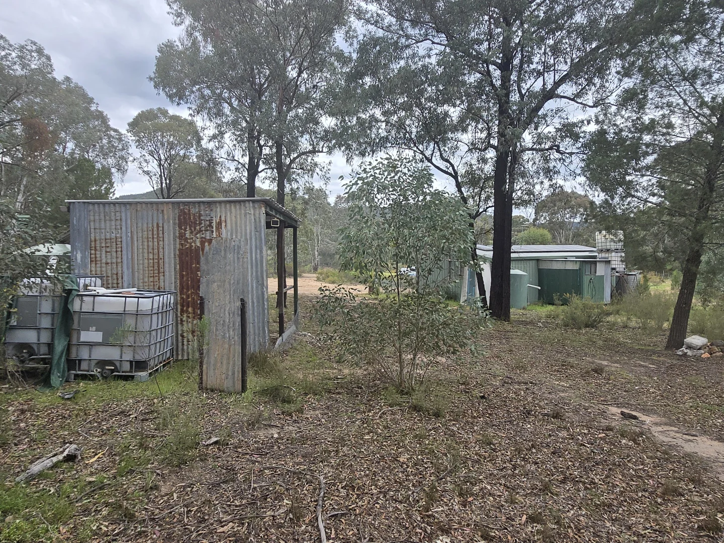 Image 15