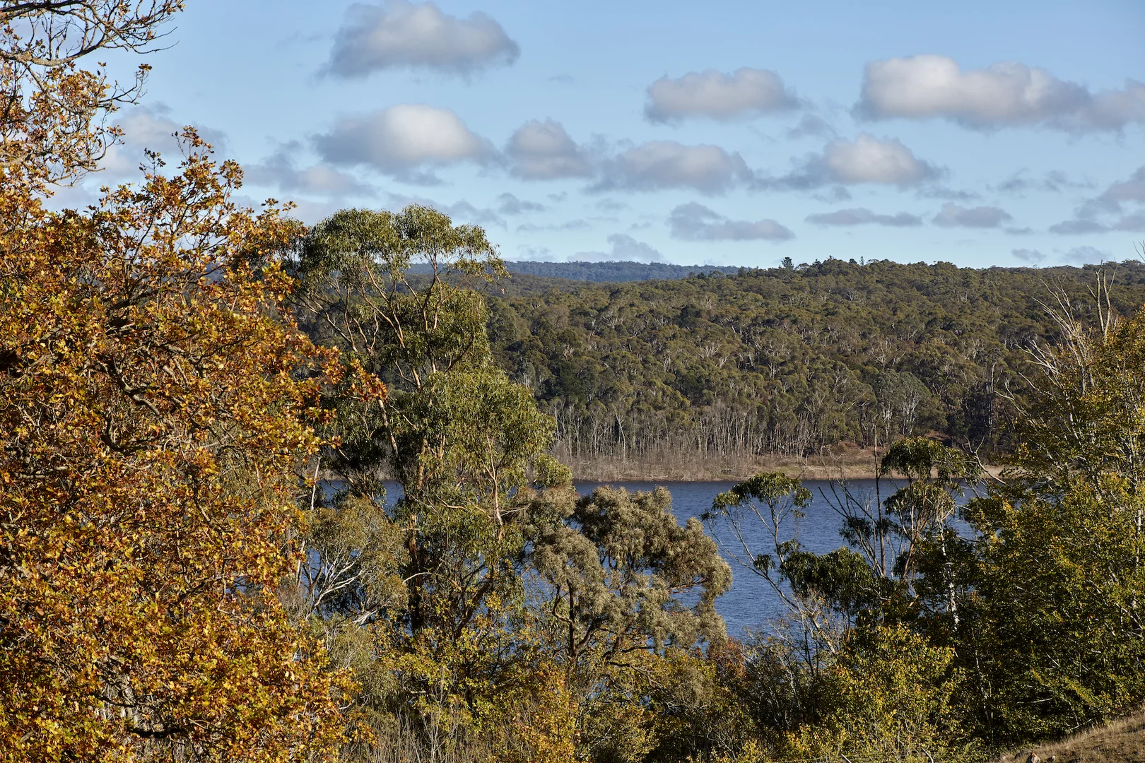 Image 13