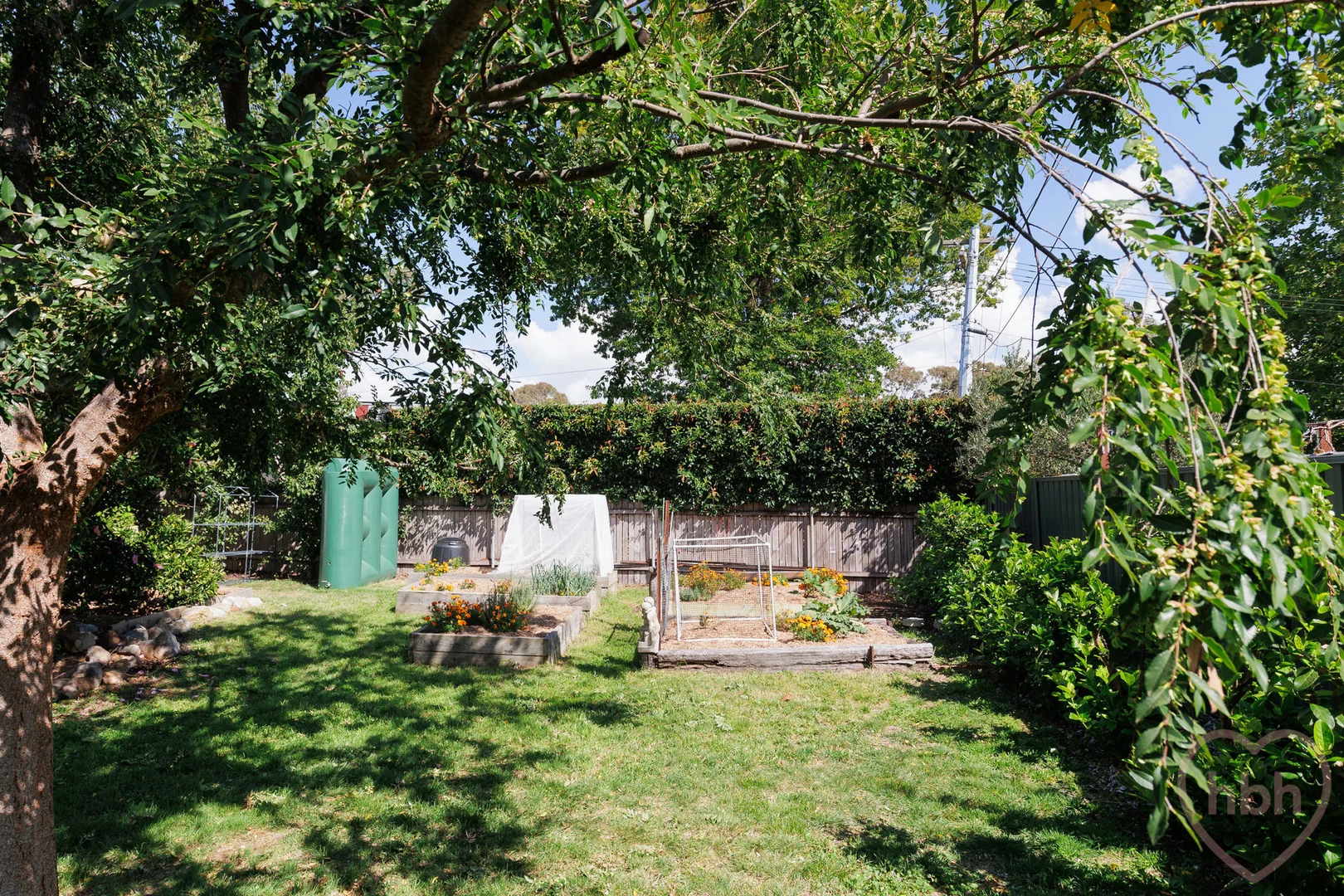 Image 25