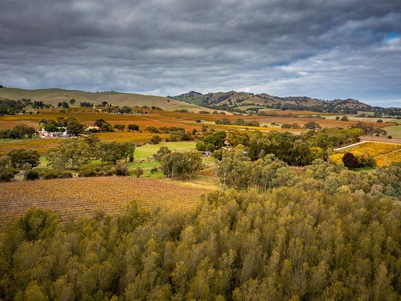 127 Steingarten Road, Rowland Flat SA 5352 Viticulture Property for Sale