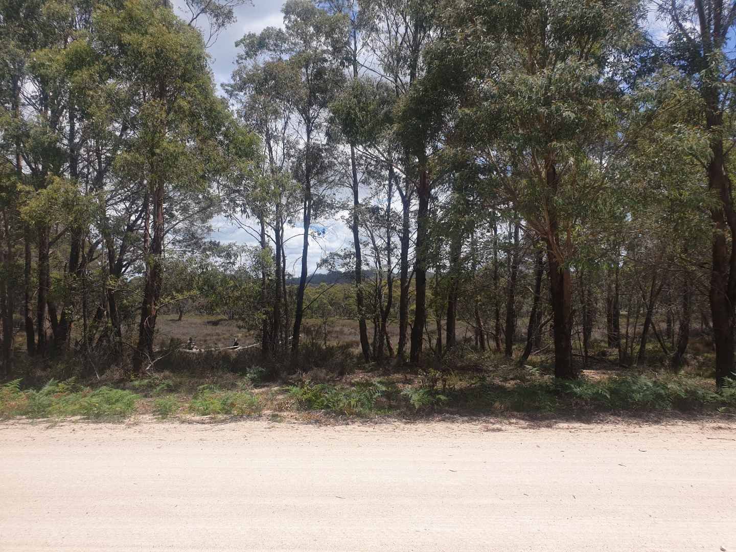 6 Aqua Park Road, Mount Mitchell NSW 2365, Image 2