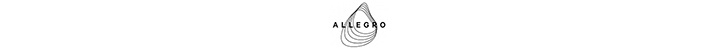 Branding for Allegro