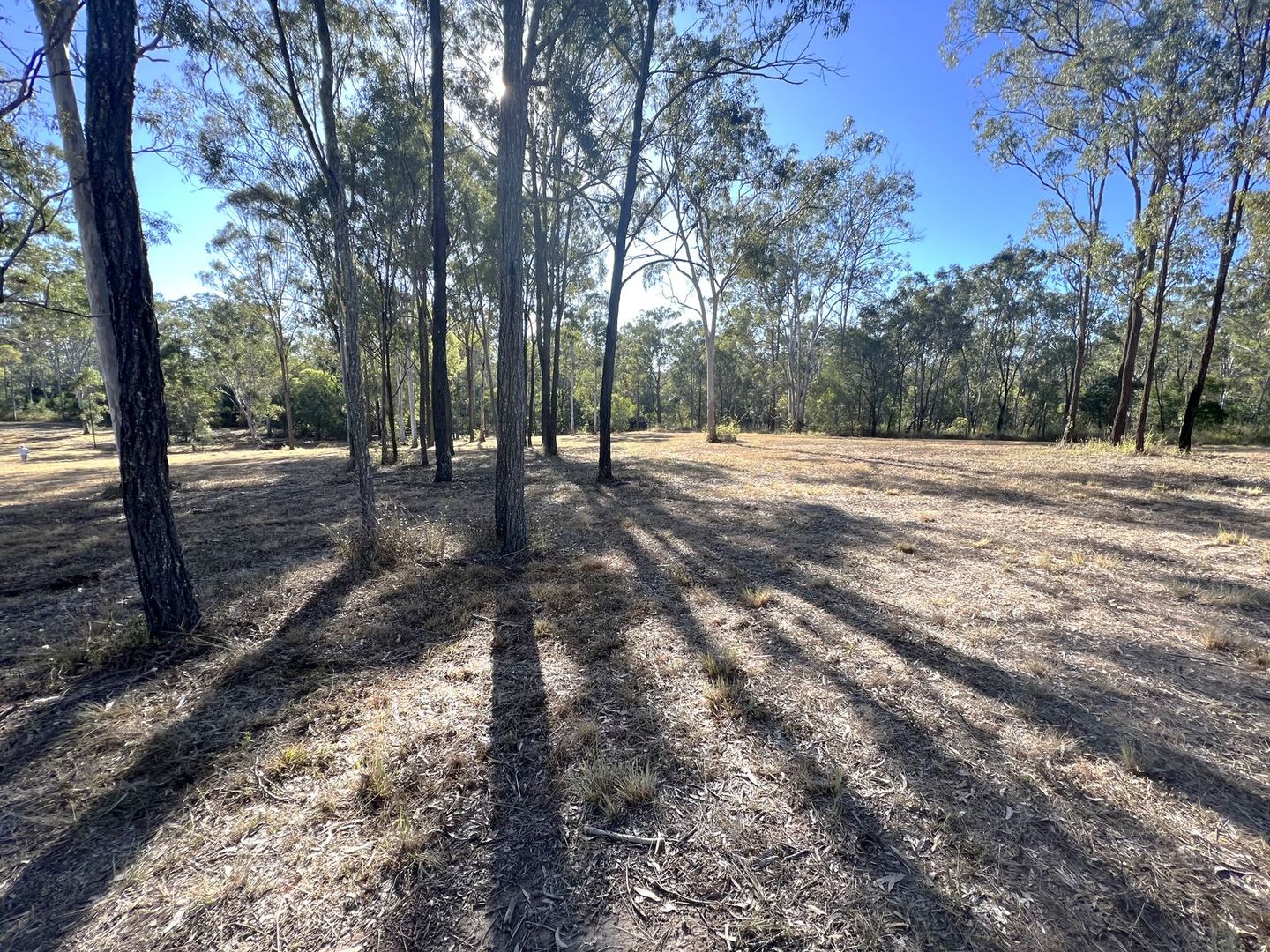 Lot 120 Hamanns Road, Apple Tree Creek QLD 4660, Image 2