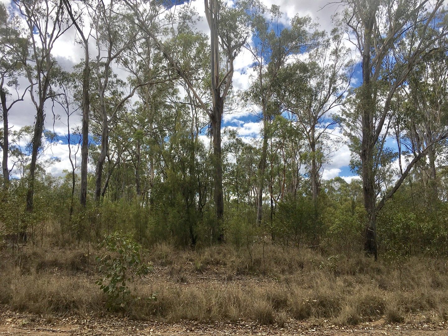 Lot 2 Noora Rd, Yarraman QLD 4614, Image 0