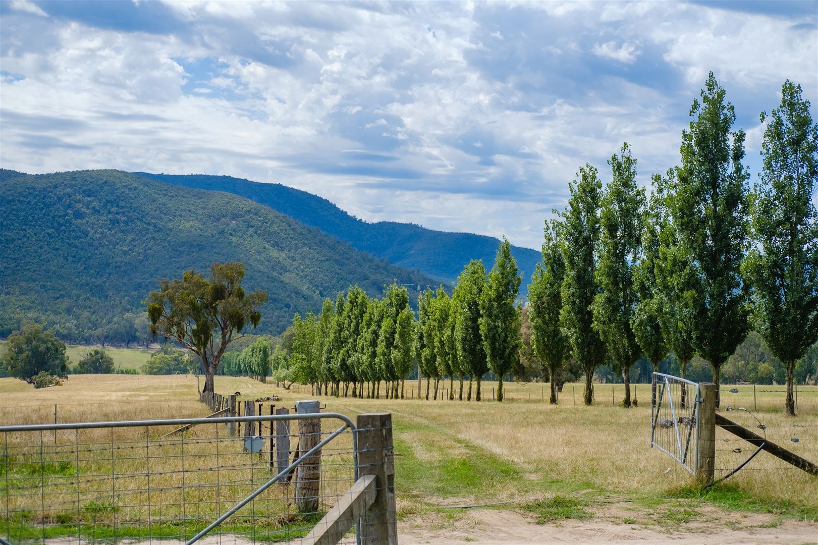 0 Carrolls, Mudgegonga VIC 3737, Image 1