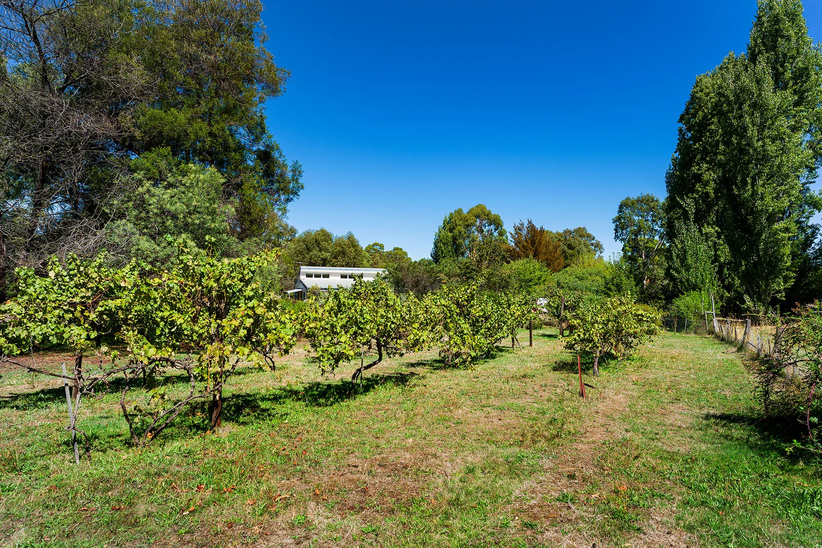 Additional image 19 of 24 High Street, Fryerstown VIC 3451