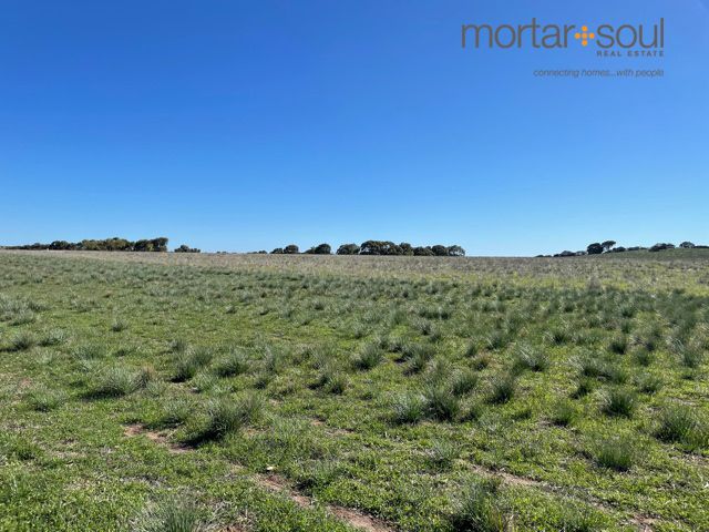 LOT 113 Bonniefield Rd E, Bonniefield WA 6525, Image 2