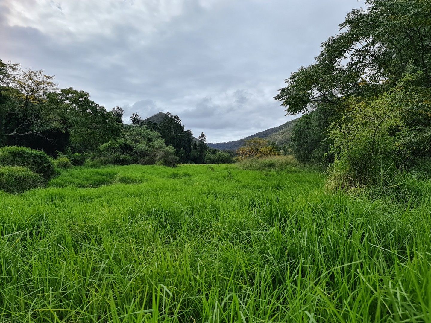 Lot 3,4 & 5 Denmark Lane, Yangan QLD 4371 Domain