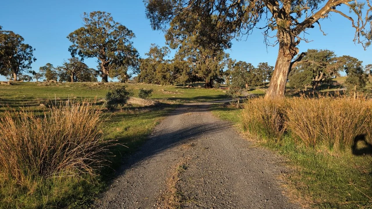 Additional image 20 of 1043 Black Heath Rd, Tungkillo SA 5236