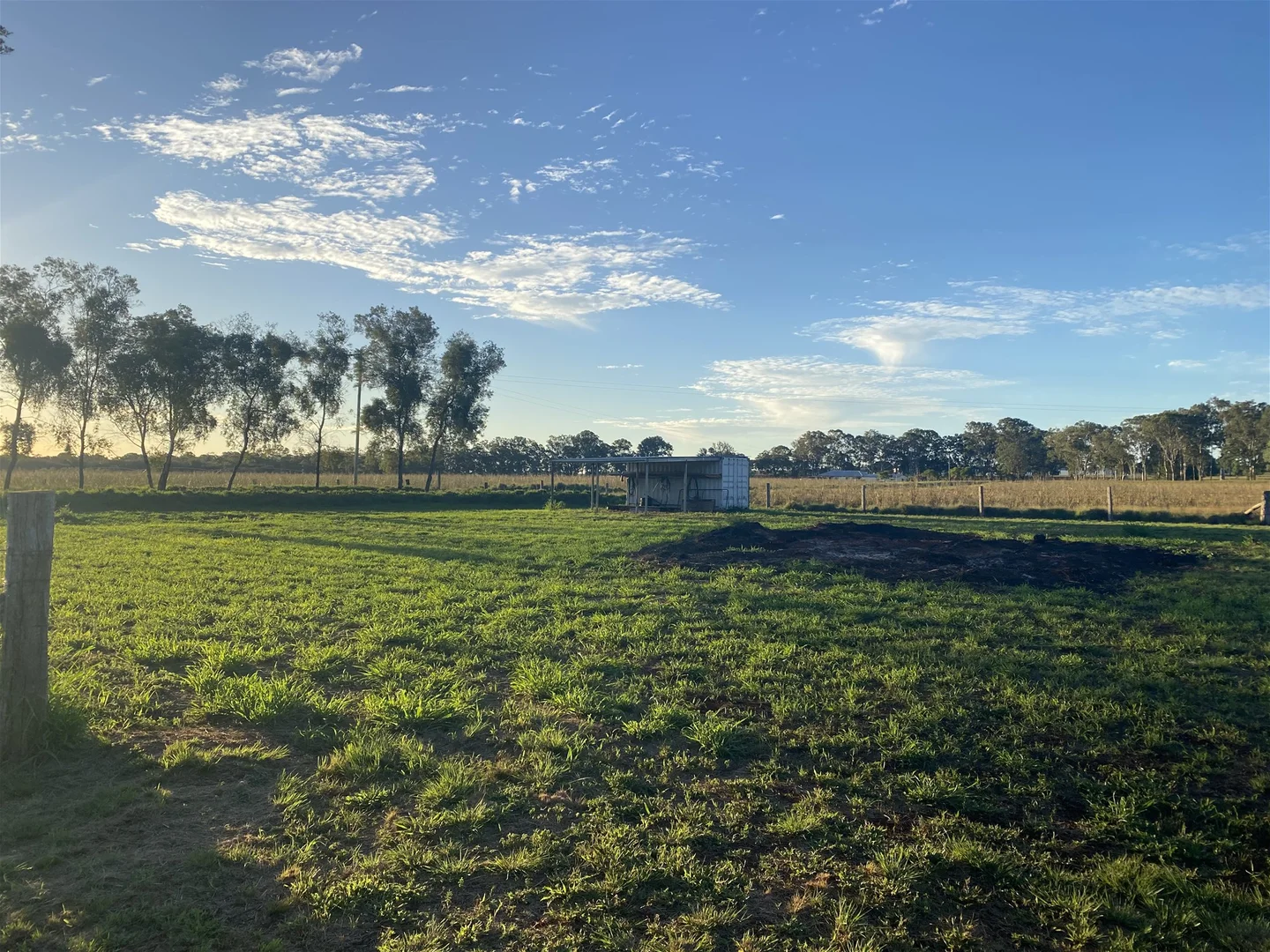 53 Safflower st, Memerambi QLD 4610