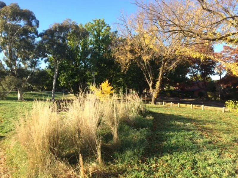 Additional image 12 of 87A/87 Hawdon Street, Dickson ACT 2602