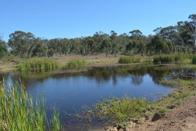 Picture of Lot 1 & Lot 28 956 Mount Larcom Bracewell Road, MACHINE CREEK QLD 4695