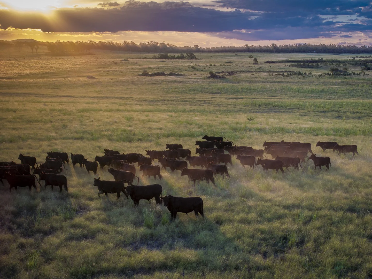 Primary image of 159L Peak Hill Road, Dubbo NSW 2830