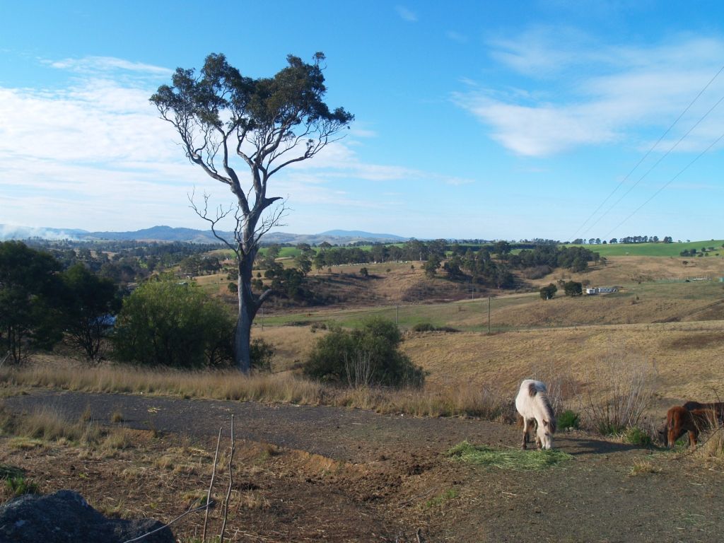 Lots 1 & 2 Reservoir St, Candelo NSW 2550, Image 2