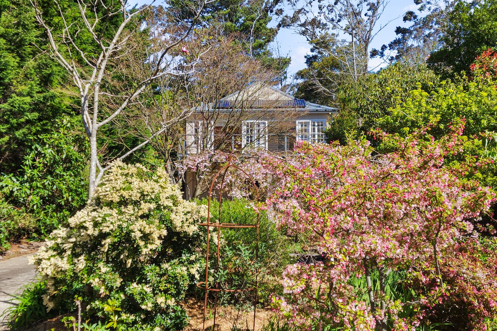 36 Violet Street, Katoomba NSW 2780 House For Rent 630 Domain