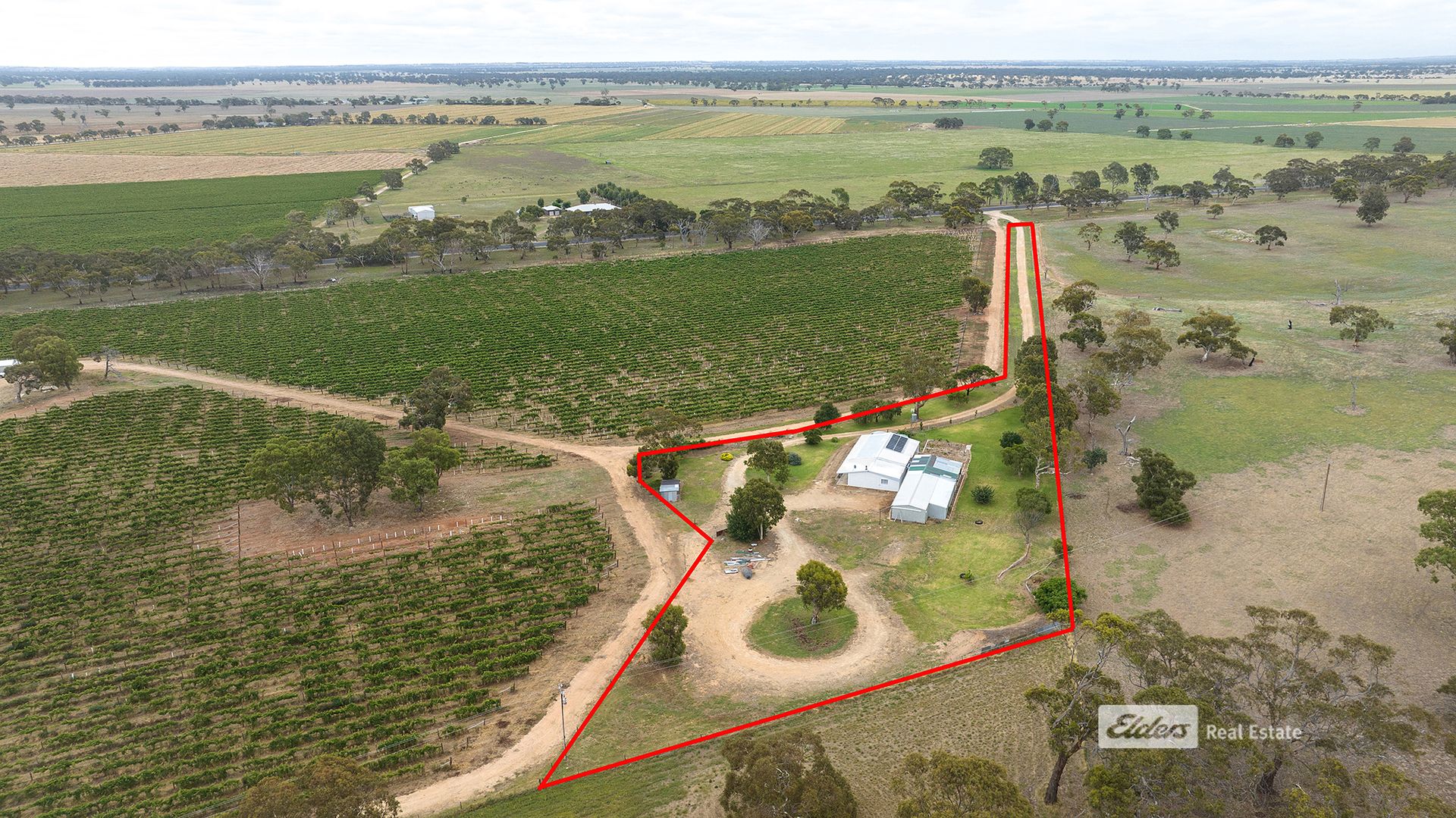 5587 Riddoch Highway, Padthaway SA 5271, Image 2