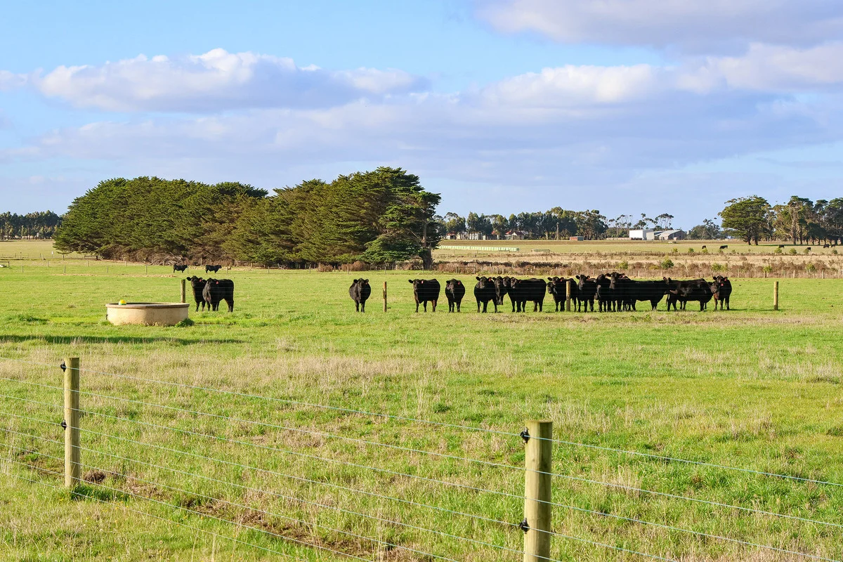 Additional image 4 of 59 Gapes Road, Winslow VIC 3281