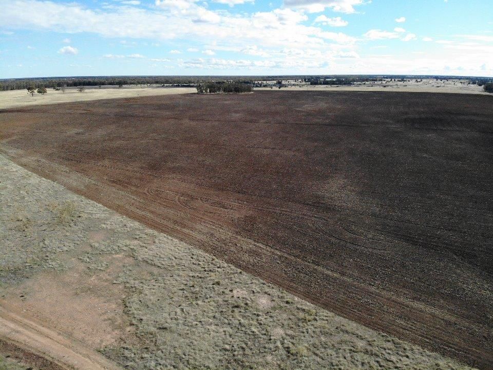 986 ACRES GRAZING & FARMING, Tara QLD 4421, Image 1