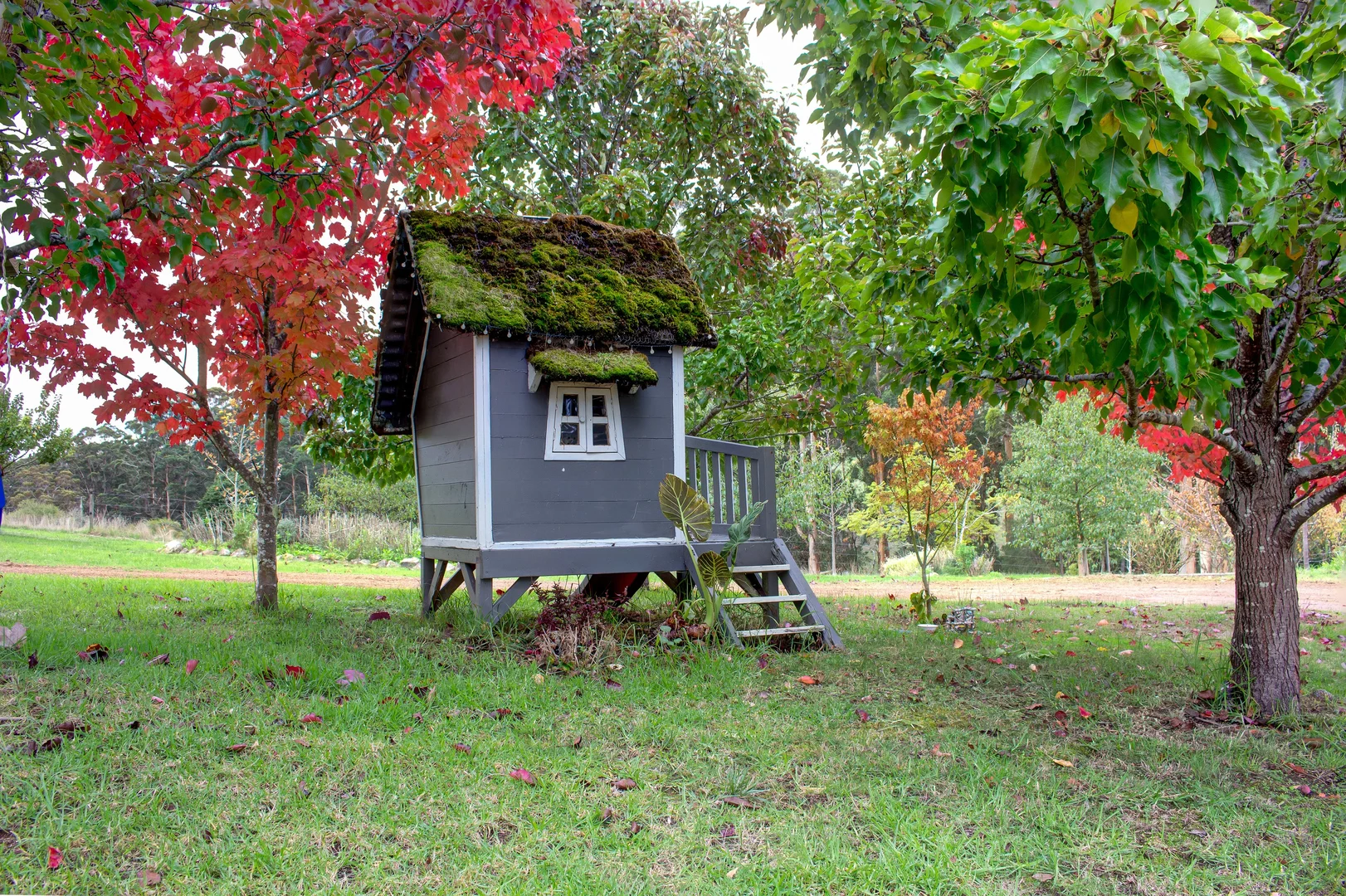 Image 20
